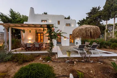 Sun Drop II with mini pool - Drios beach Paros