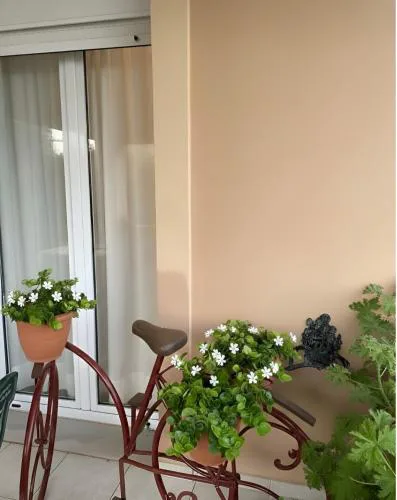 Olive Grove Family Home