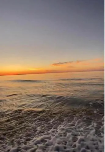Sea Harmony