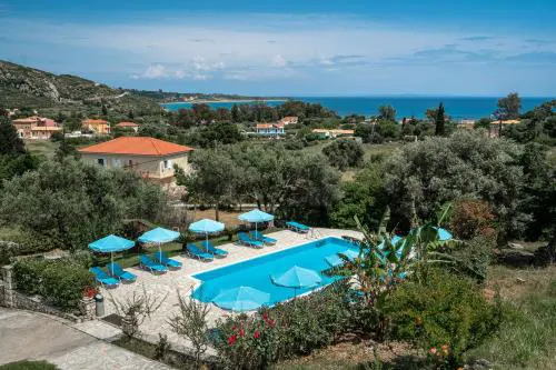 Anemona studio B