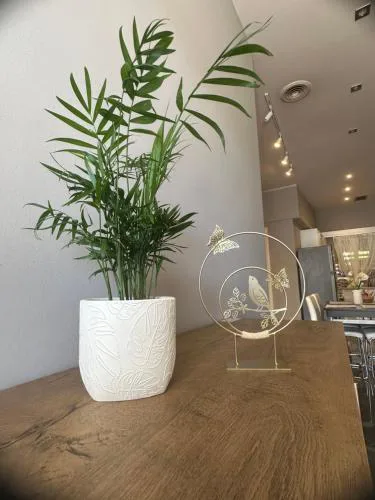 Sp+P apartment