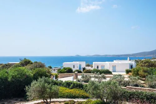 Antiparos Olive House