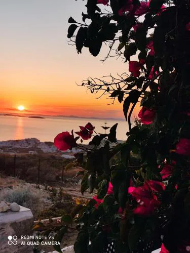 Zephyrus Sunset House. Amazing View and Privacy!