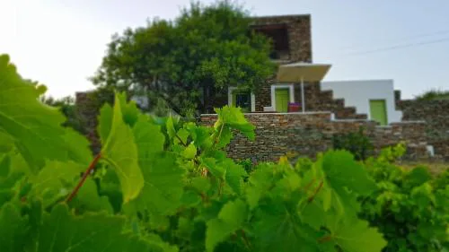 Cycladic Vineyard House