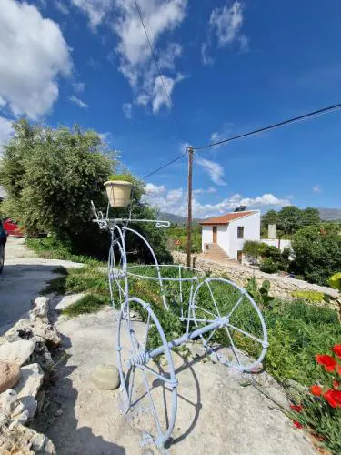 Stefanos Garden3