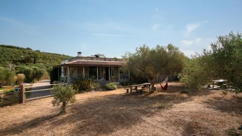 WHITE MOUNTAINS Nature Home