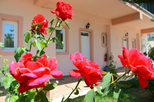 Red Rose Garden