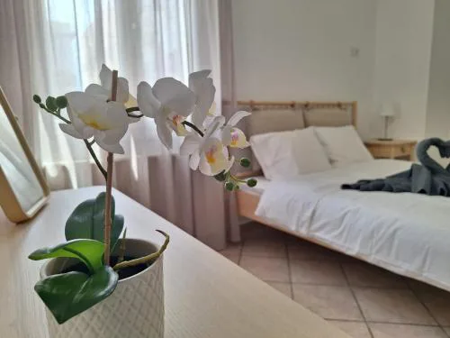 Elysian Apartment