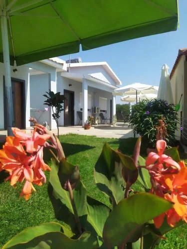 EFI APARTMENTS