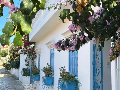 Reginas Studios & Apartments- Blue Flower apartment