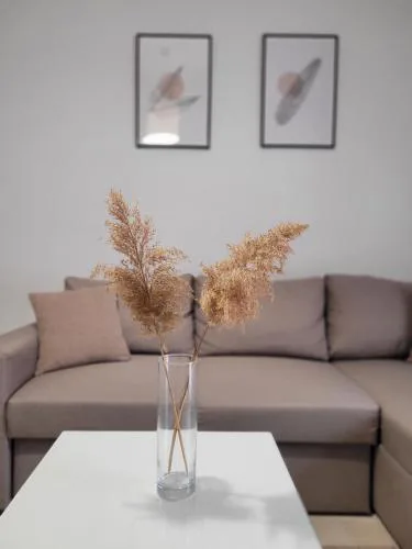 Center River Apartment