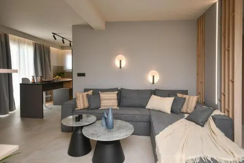 Holi Top Luxurious Apartment