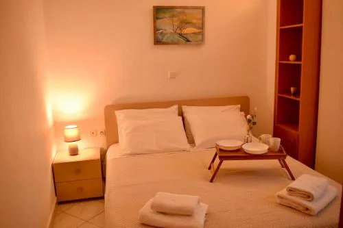 Nik apartment