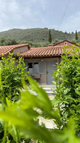 Olga's Sea View Studios, 400m from Ipsos Beach