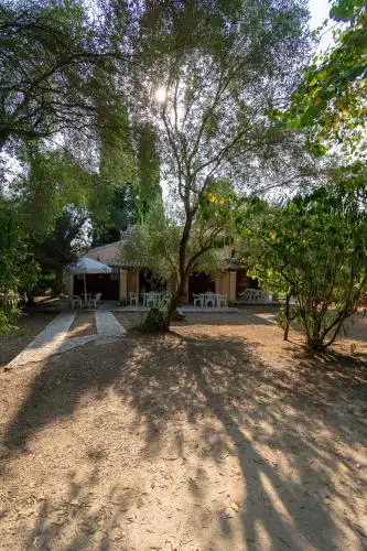 Villa Olive apartments