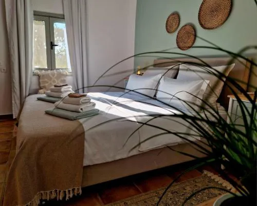 Pelekanos Apartment