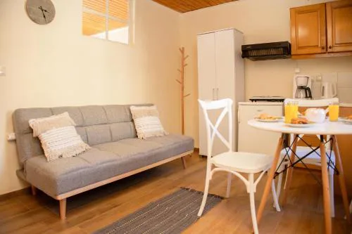 Lisa's DownTown Apartment