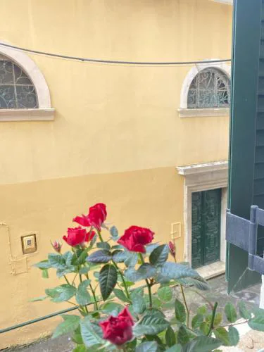 Live in the Heart of Corfu Old Town