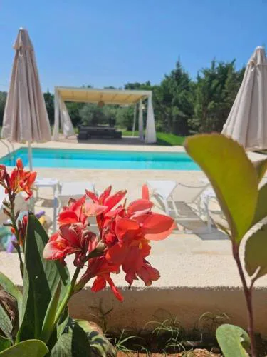 Sundial Houses - Pool & Garden