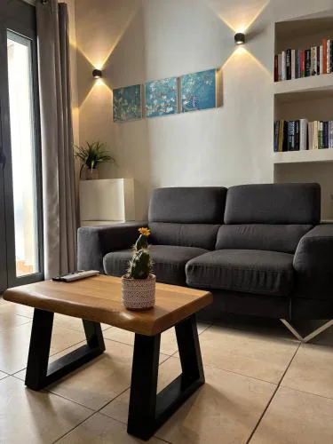 Duplex apartment city center
