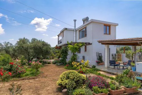Eliva house