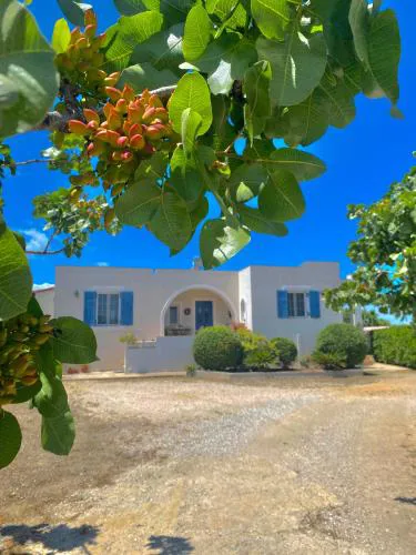 Tzitzi Pistachio Villa