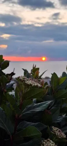Sea-Nature-Wellness