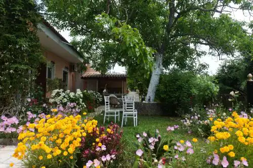Mina's serene garden house