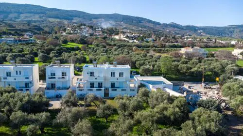 Olive Paradise Maison