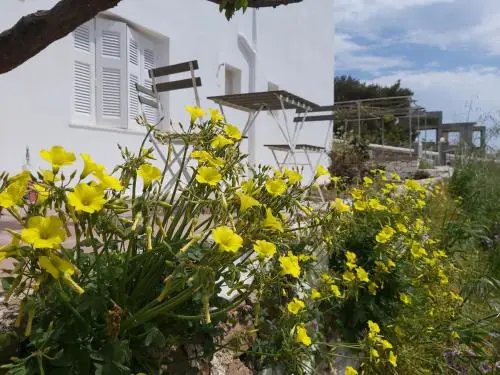 Dandelion Paros Apartments I-II