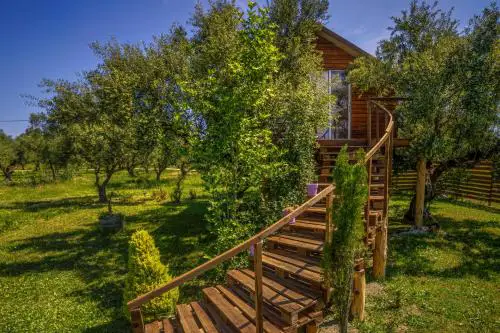Terra Vine Collection - FairyTale