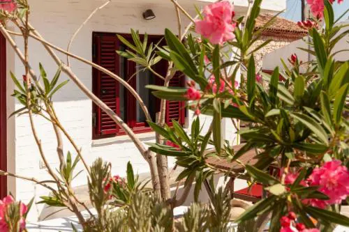 Elina's house