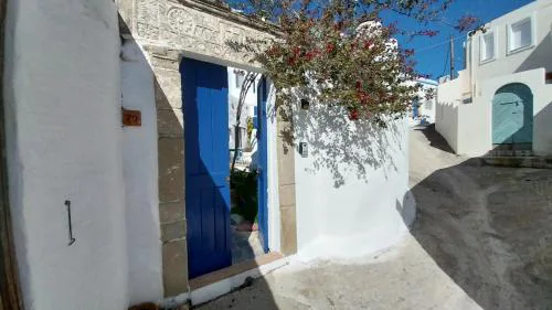 Clive and Bifi's house