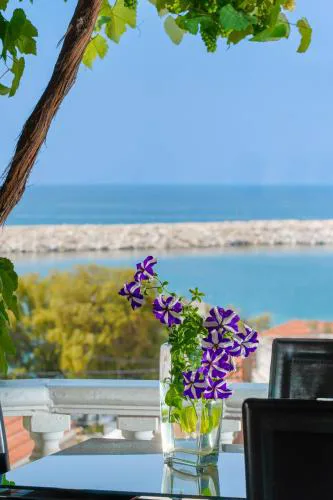 Rustic Villa 2 Min walk to the beach heart of Limenaria