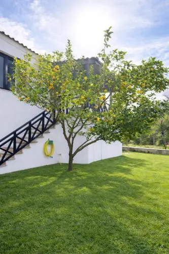 Elia & Petra Villa