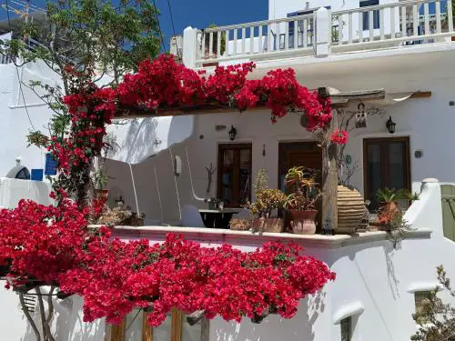 Cycladic House