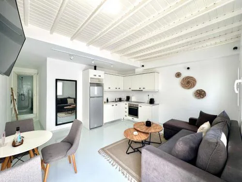 Entropia Myconian Apartment