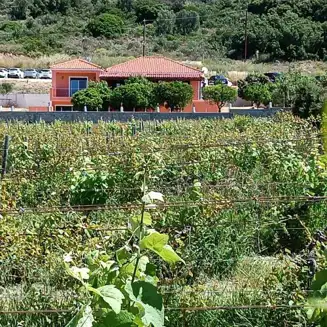 Private villa , 5 min drive from the beach