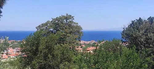 Studios Akrotiri