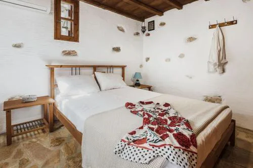 Naxos Alyko Traditional Vacation House ''Mitatos''