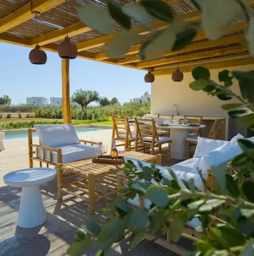 Nour, Modern High-Ceiling Retreat with Pool in Plaka Naxos