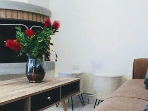 Vasiliki's House