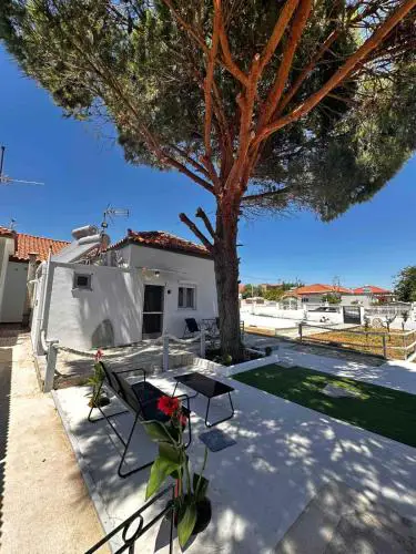 Limnos Twin Pine