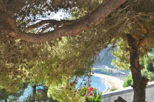 Apartments and studio with swimming pool and Sea View in Pelekas Beach, Corfu