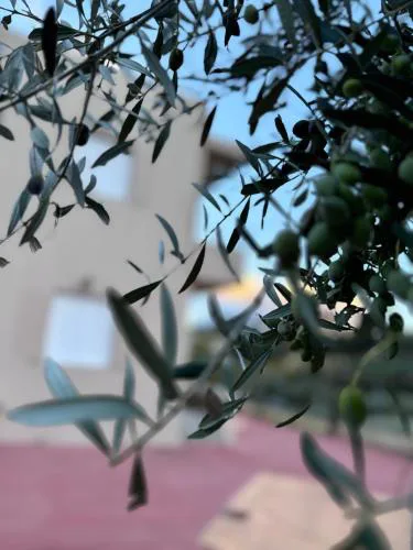 Kamari House Crete