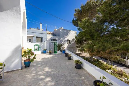 Amoni House- An authentic village stay