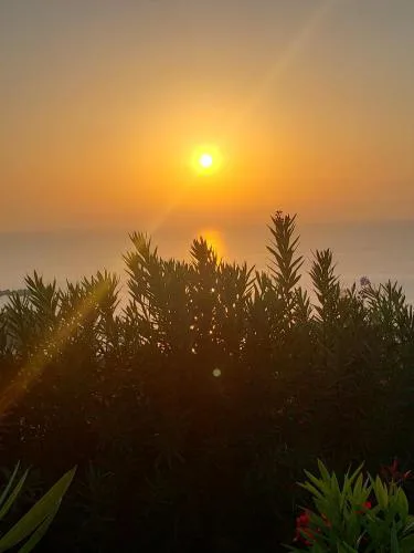 Sunrise