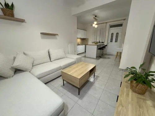 Nikolet apt 1