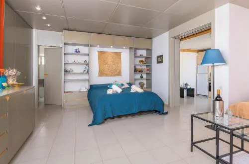 Panoramic view roof garden apartment