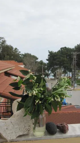 Mandola Del Mare